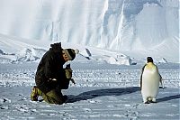 Trek.Today search results: 1955–58 Commonwealth Trans-Antarctic Expedition, Antarctic Plateau, Antarctica