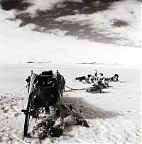 Trek.Today search results: 1955–58 Commonwealth Trans-Antarctic Expedition, Antarctic Plateau, Antarctica