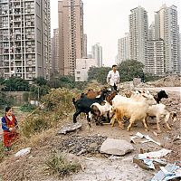 World & Travel: Chongqing, Chongqing Municipality, China