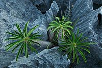 Trek.Today search results: Tsingy de Bemaraha, Melaky Region, Madagascar