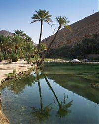 Trek.Today search results: Salalah, Dhofar province, Oman