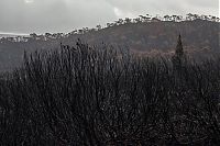 World & Travel: Tasmania island fire, Commonwealth of Australia, South Pacific Ocean