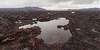 Trek.Today search results: Tasmania island fire, Commonwealth of Australia, South Pacific Ocean