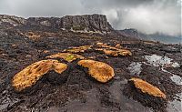 World & Travel: Tasmania island fire, Commonwealth of Australia, South Pacific Ocean