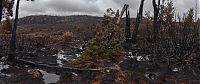 Tasmania island fire, Commonwealth of Australia, South Pacific Ocean