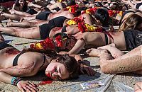 World & Travel: Protest against bull fighting, Madrid, Spain