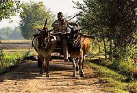 Trek.Today search results: Life in Pakistan