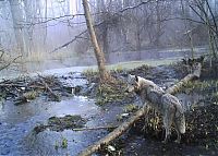 World & Travel: Chernobyl Nuclear Power Plant exclusion zone, Pripyat, Ivankiv Raion, Ukraine