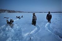 Arctic region, North Pole, Arctic