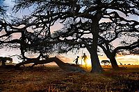 Trek.Today search results: National Geographic Photography