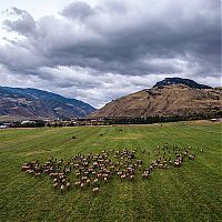 Trek.Today search results: National Geographic Photography