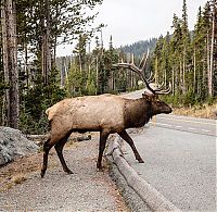 Trek.Today search results: National Geographic Photography