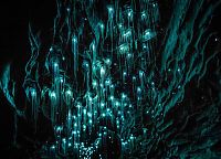 Trek.Today search results: Waitomo Glowworm Caves, Waitomo, North Island, New Zealand