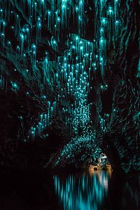 Trek.Today search results: Waitomo Glowworm Caves, Waitomo, North Island, New Zealand