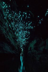 Trek.Today search results: Waitomo Glowworm Caves, Waitomo, North Island, New Zealand