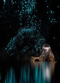 Trek.Today search results: Waitomo Glowworm Caves, Waitomo, North Island, New Zealand