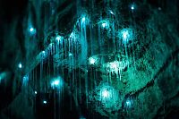 Trek.Today search results: Waitomo Glowworm Caves, Waitomo, North Island, New Zealand