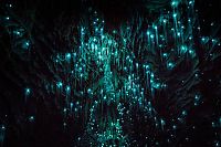 World & Travel: Waitomo Glowworm Caves, Waitomo, North Island, New Zealand