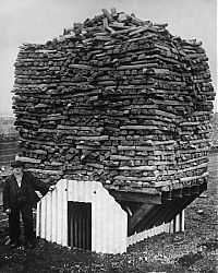 World & Travel: History: World War II photography, Anderson shelter