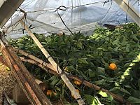 World & Travel: Greenhouse structures, Almería, Andalucía, Spain