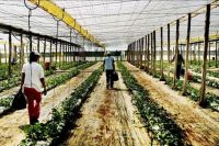 World & Travel: Greenhouse structures, Almería, Andalucía, Spain