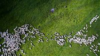 Trek.Today search results: bird's-eye view aerial landscape photography