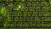 World & Travel: bird's-eye view aerial landscape photography