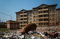 Trek.Today search results: Kibera urban slum, Nairobi, Kenya