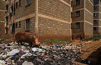 World & Travel: Kibera urban slum, Nairobi, Kenya