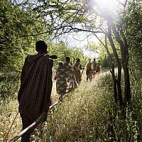 Trek.Today search results: National Geographic Photography