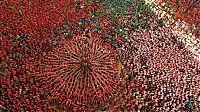 World & Travel: Castell, human tower, Catalonia, Spain