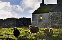 World & Travel: Foula, Shetland Islands, Scotland