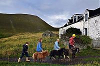 World & Travel: Foula, Shetland Islands, Scotland