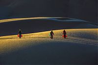 Trek.Today search results: Siena International Photo Awards 2016